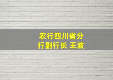 农行四川省分行副行长 王波